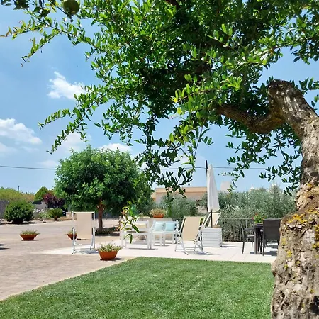 Terrazza Sui Colli *