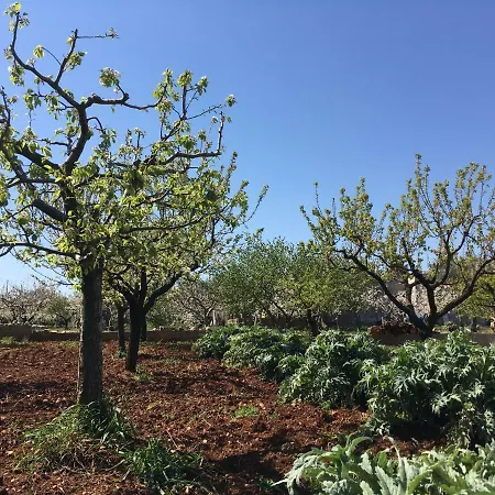 Terrazza Sui Colli Monopoli