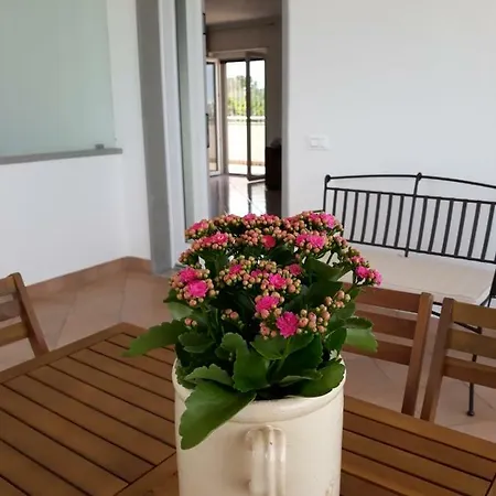 Terrazza Sui Colli Monopoli