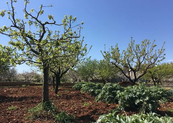 Terrazza Sui Colli Monopoli